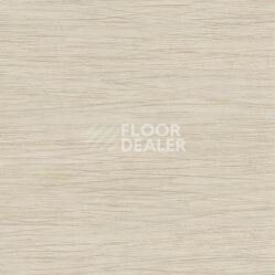 Линолеум Taralay Initial Comfort 0829 Filament Cream фото 1 | FLOORDEALER